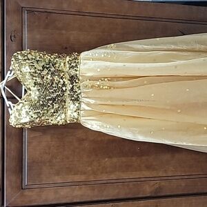 Metallic Gold Strapless Ballgown